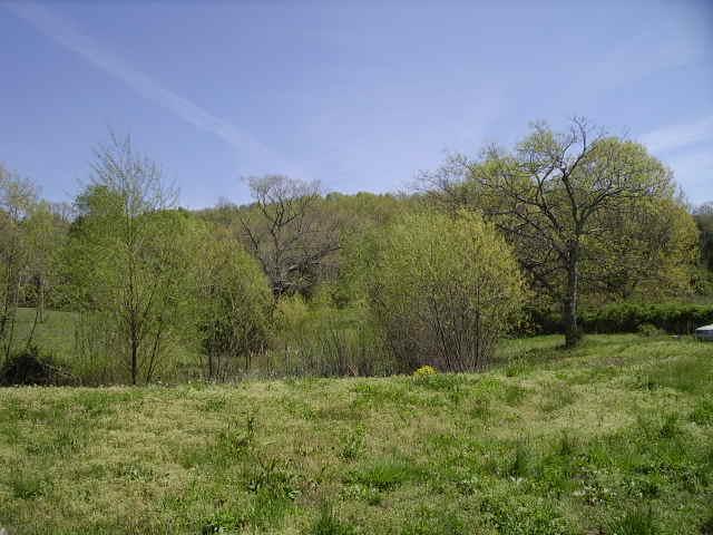 350 Mt Vernon Road Bethpage, TN 37022 - Photo 3 of 4 Gallery Image 3