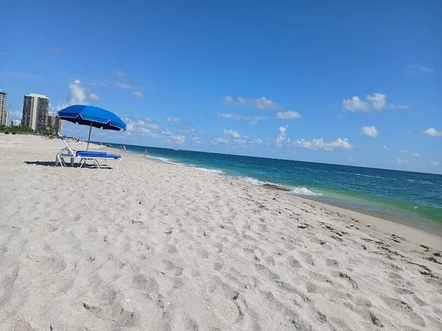a view of a lake with tall trees