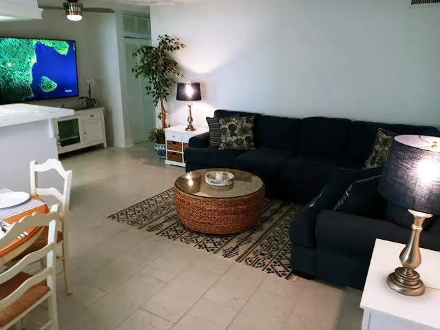 a living room with furniture and a potted plant
