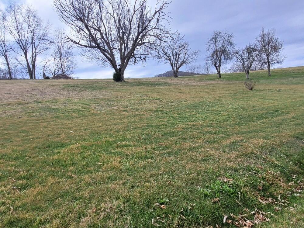 1032 Rice Cross Road Piney Flats, TN 37686 - Photo 15 of 23 rice back yard