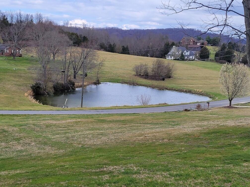 1032 Rice Cross Road Piney Flats, TN 37686 - Photo 20 of 23 rice view from front