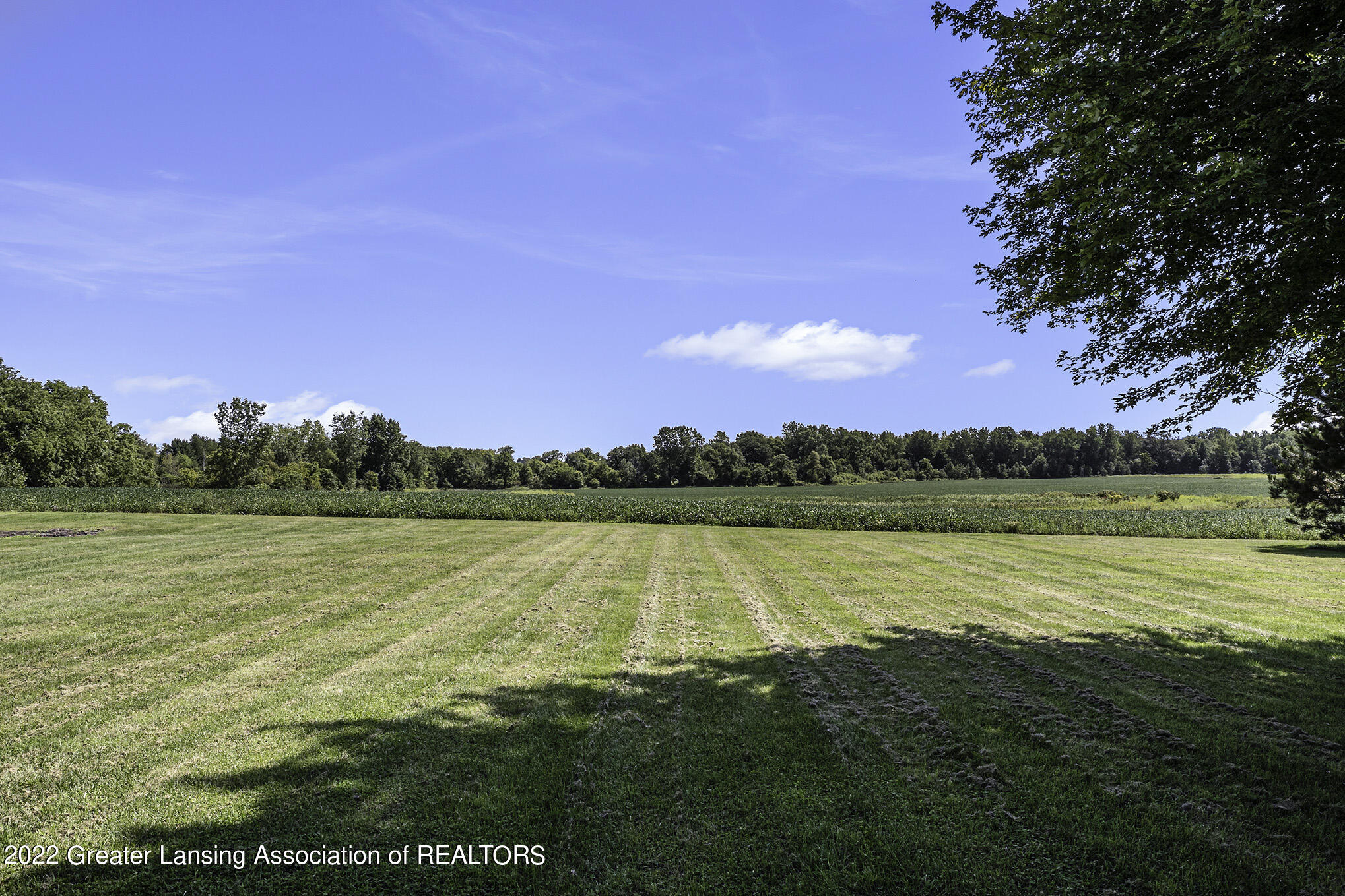 7290 Oneida Road Charlotte, MI 48813 - Photo 32 of 38 DSC01997