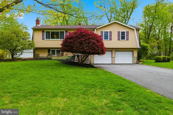 a view of a yard in front of a house with plants and large tree