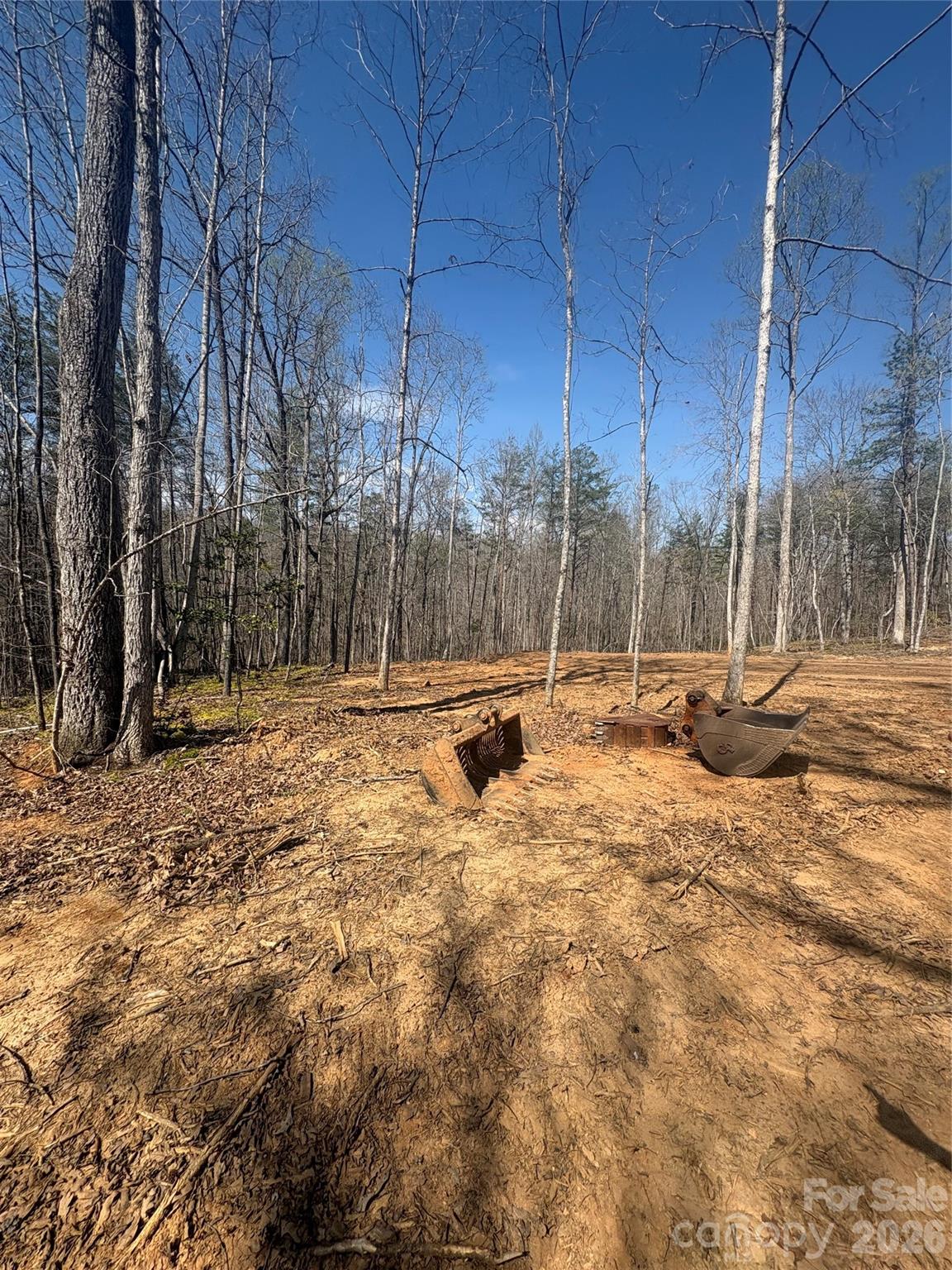 Tbd Avenida De Oro Road, Unit 3 1 Morganton, NC 28655 - Photo 2 of 4 a view of road with large trees