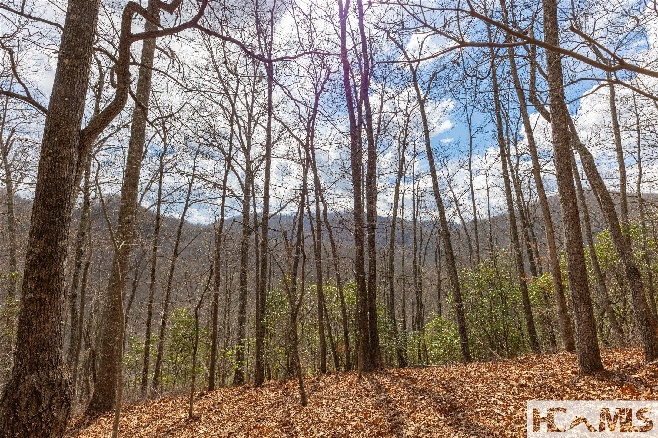 Lot 55 Cullowhee Forest Road Cullowhee, NC 28723 - Photo 14 of 32 Gallery Image 14