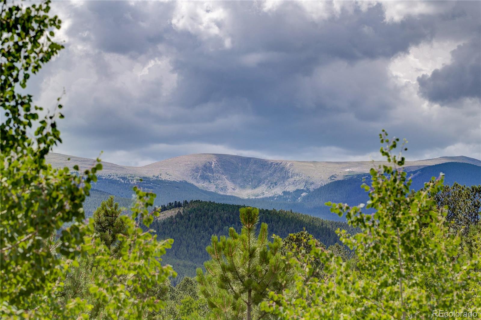194 P 76 Road Bailey, CO 80421 - Photo 16 of 30 Gallery Image 16