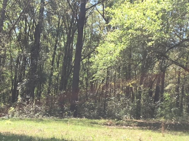 13158 Highway 98 Foley, AL 36535 - Photo 9 of 10