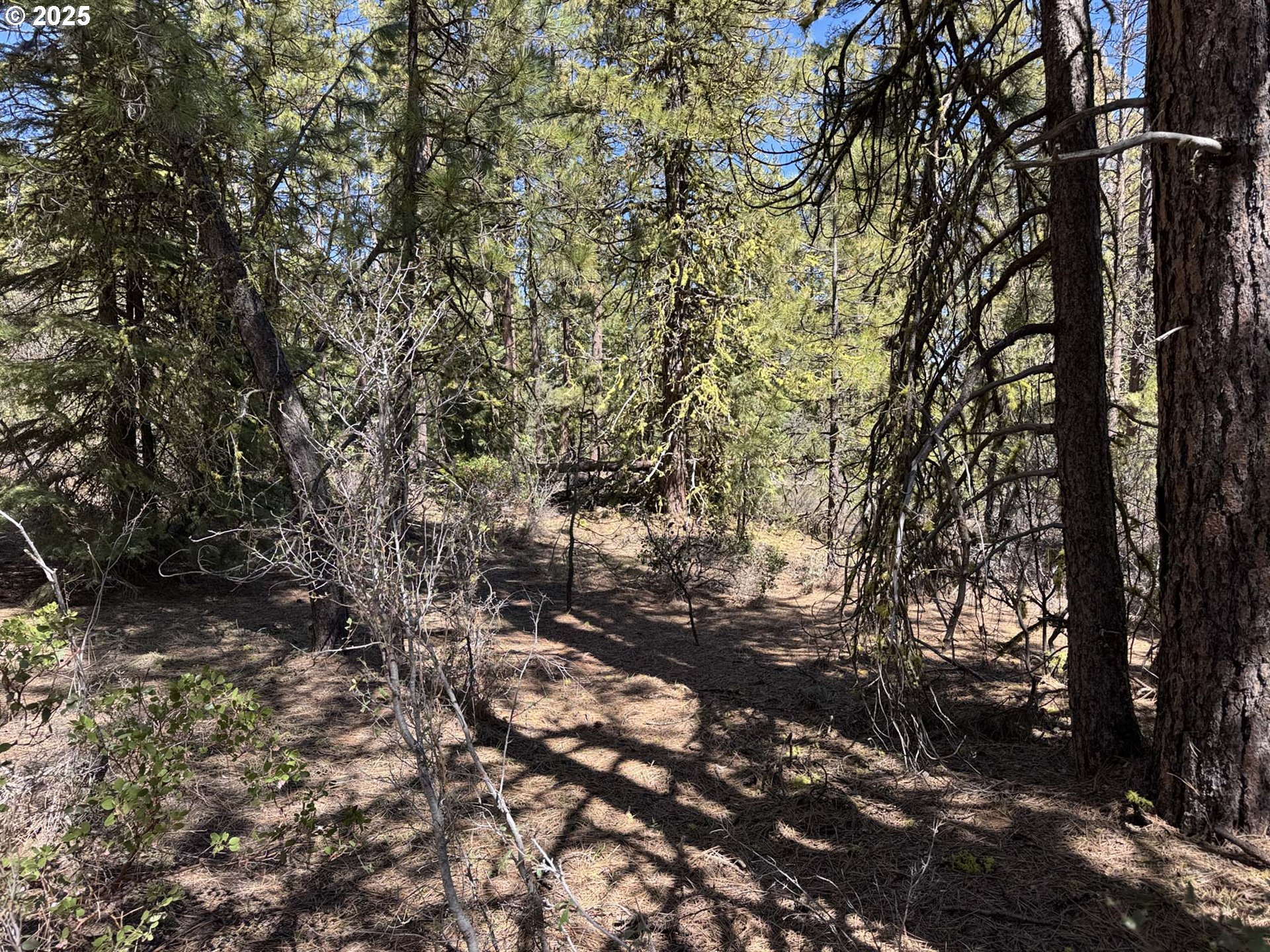 Horned Owl Lane Bonanza, OR 97623 - Photo 32 of 44