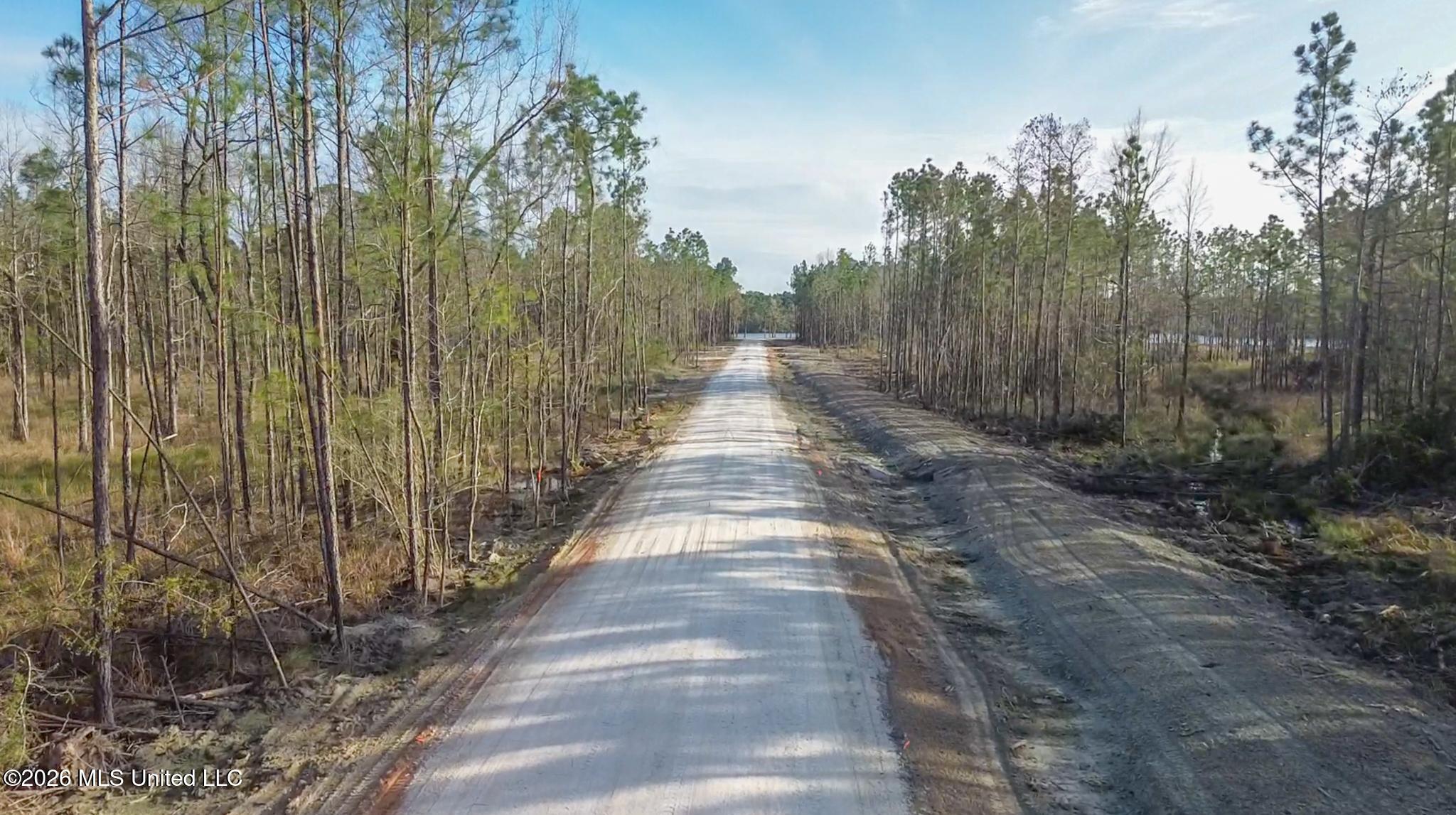 13045 Enciente Point Drive Kiln, MS 39556 - Photo 11 of 16 en-25-2