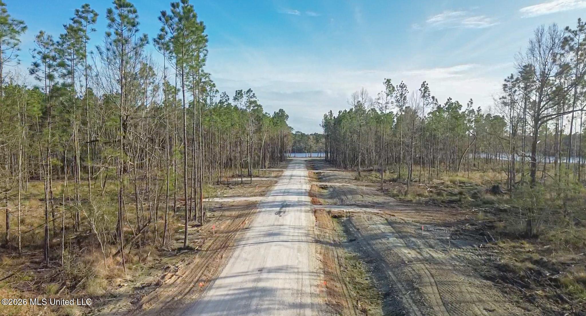 13045 Enciente Point Drive Kiln, MS 39556 - Photo 14 of 16 en-27-2
