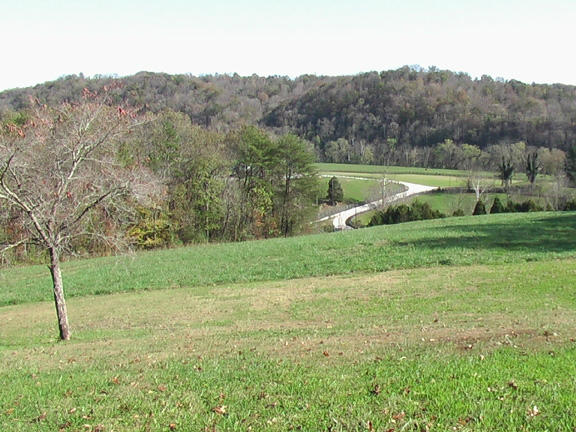 1139 Offutt Road Clinton, TN 37716 - Photo 14 of 38 Room to roam here!