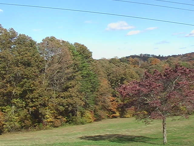 1139 Offutt Road Clinton, TN 37716 - Photo 8 of 38 Specatular Fall Foliage here!