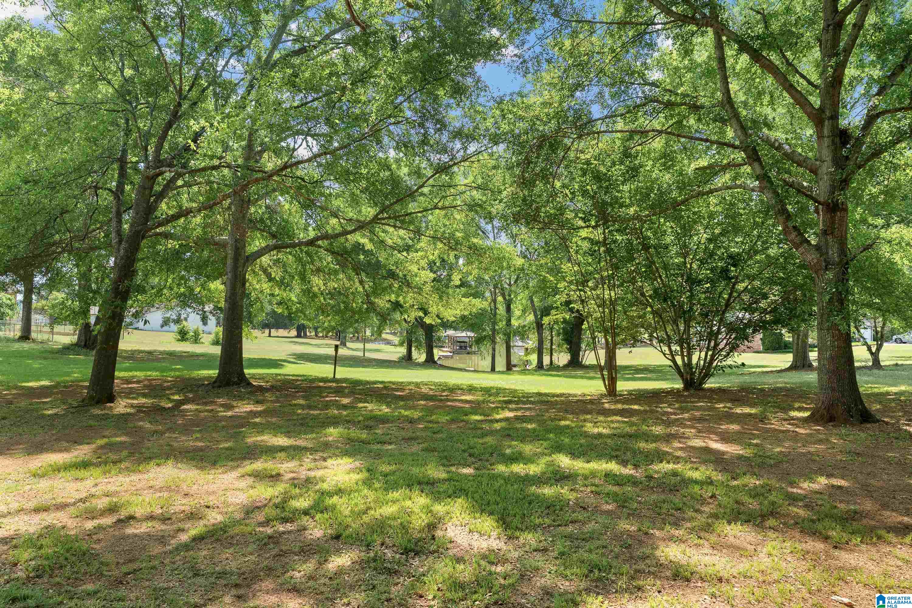 1702 Pine Harbor Road Pell City, AL 35128 - Photo 51 of 71