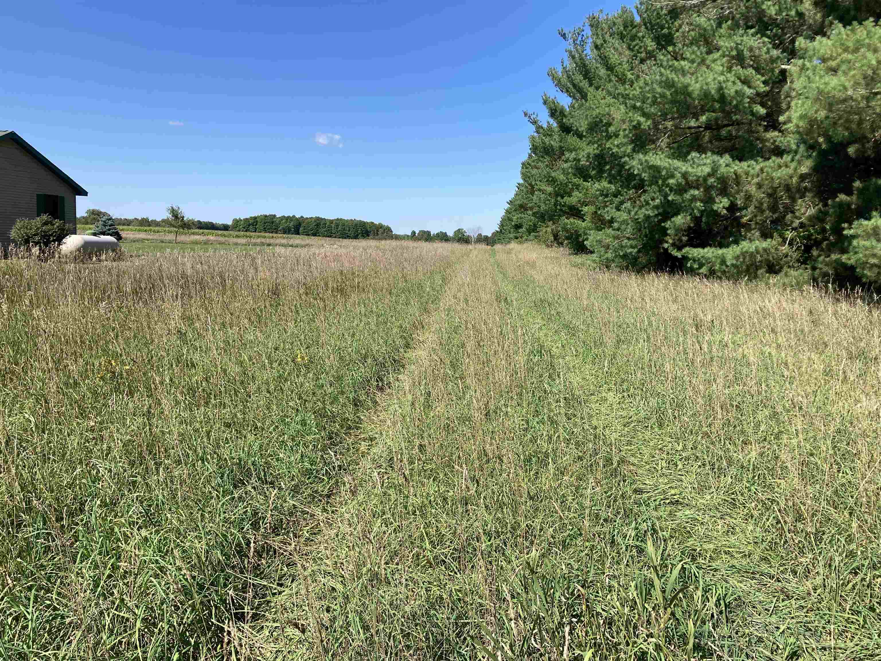 Vl East Vl E Sparling Road Kingsley, MI 49649 - Photo 7 of 12