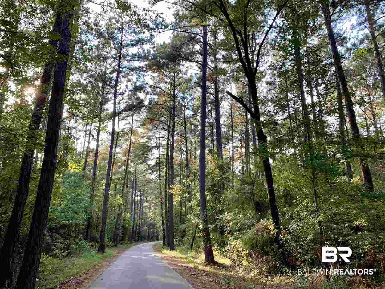 0 Holly Creek Road Stockton, AL 36579 - Photo 29 of 50