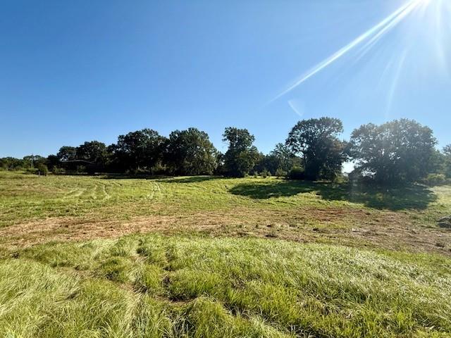 Tbd Bennie Morris Road Mount Hermon, LA 70450 - Photo 16 of 17