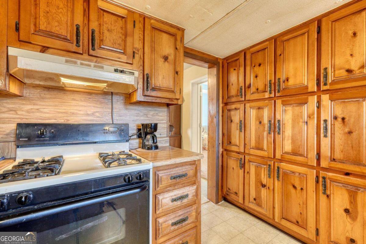 431 Clear Creek Road Ellijay, GA 30536 - Photo 17 of 47