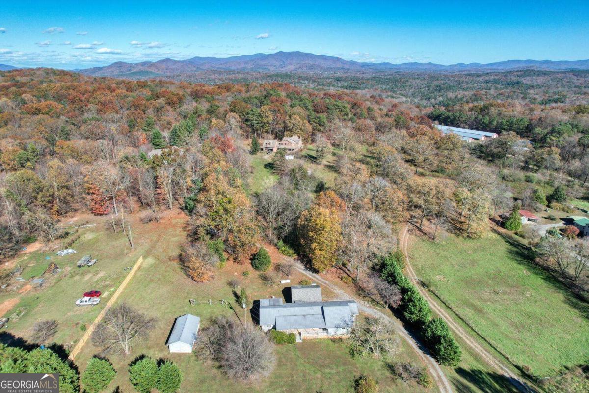 431 Clear Creek Road Ellijay, GA 30536 - Photo 44 of 47