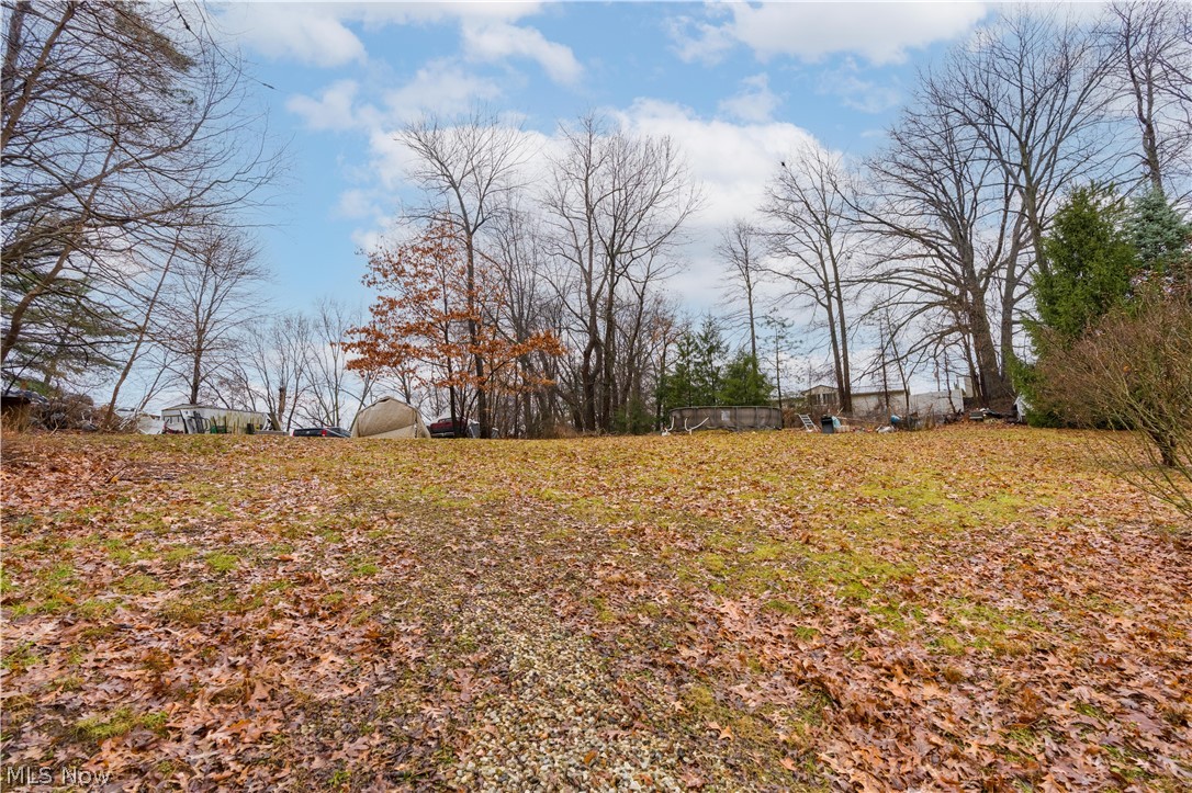 701 West Line Street Minerva, OH 44657 - Photo 10 of 37