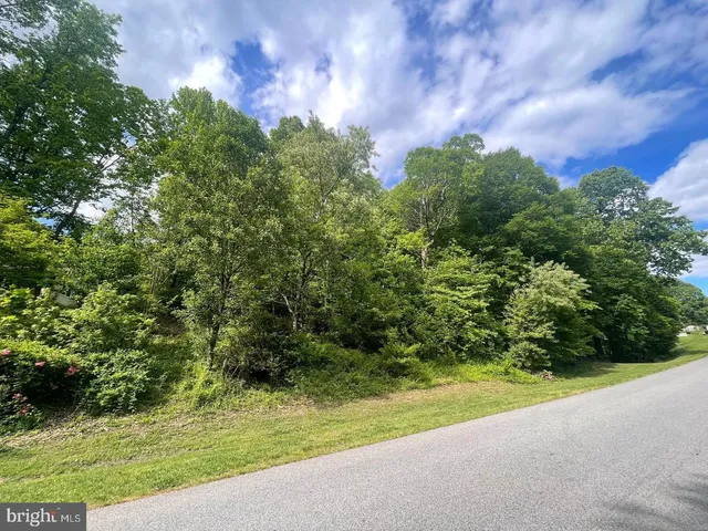 a view of a yard with a tree