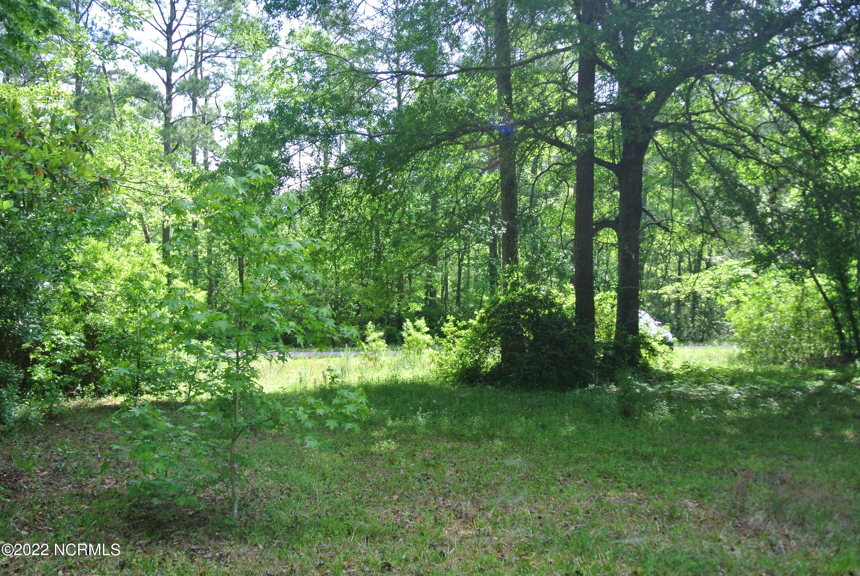 253 Anchor Road Beaufort, NC 28516 - Photo 11 of 12 DSC_5748