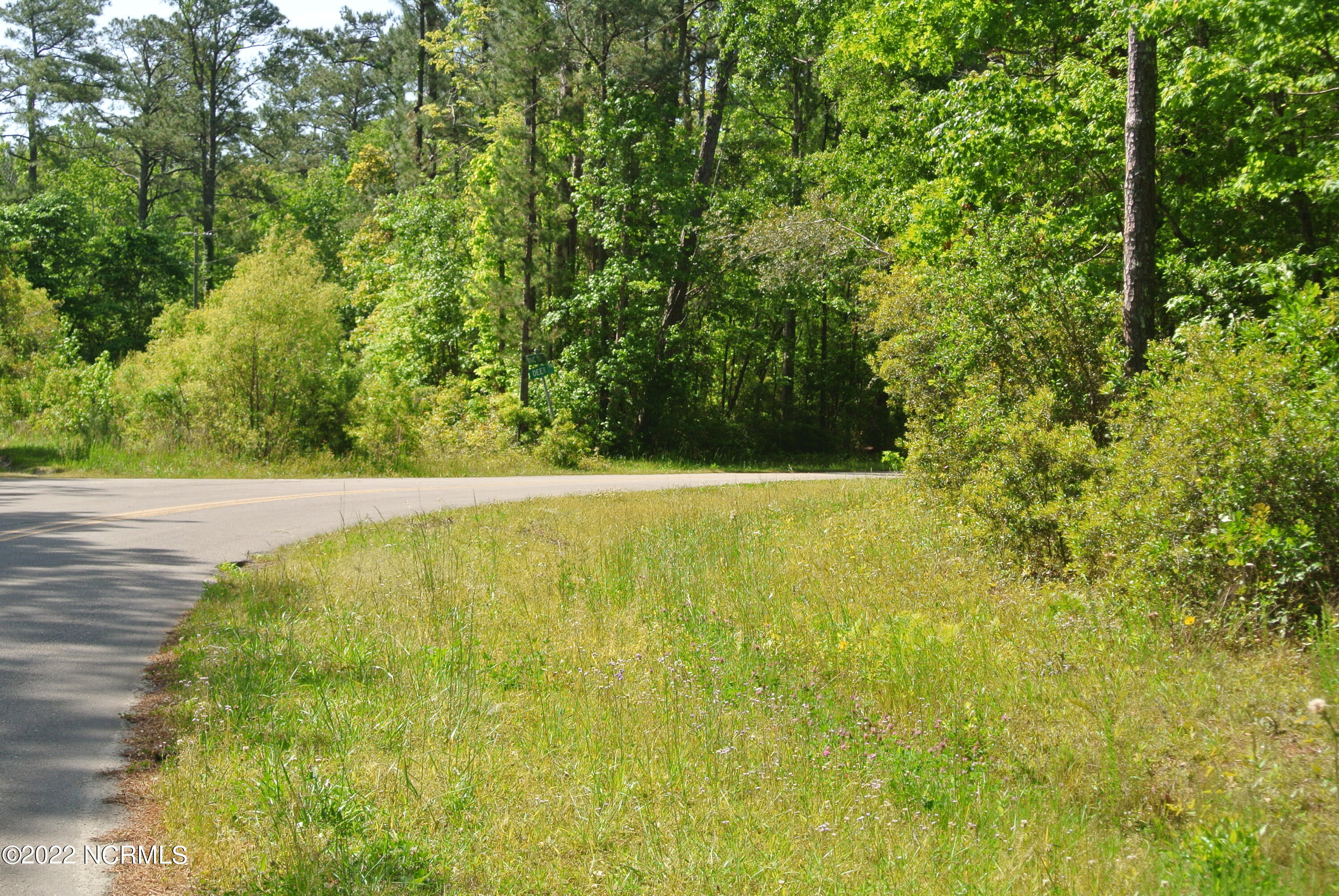 253 Anchor Road Beaufort, NC 28516 - Photo 3 of 12 DSC_5739