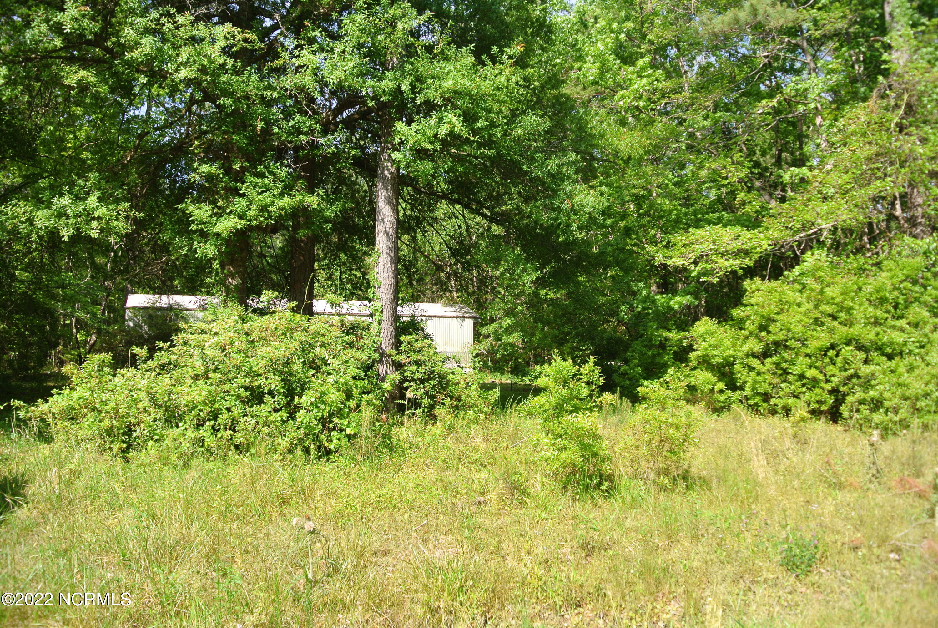 253 Anchor Road Beaufort, NC 28516 - Photo 4 of 12 DSC_5740