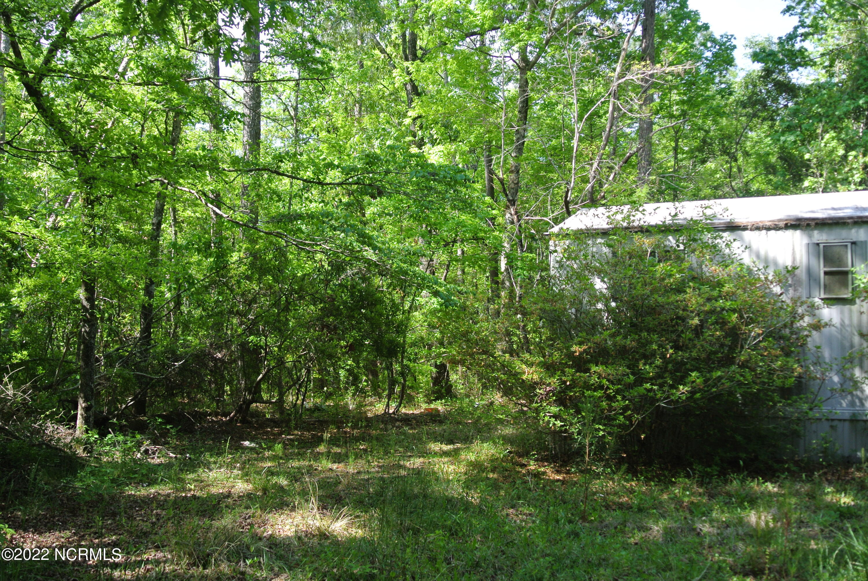 253 Anchor Road Beaufort, NC 28516 - Photo 8 of 12 DSC_5745