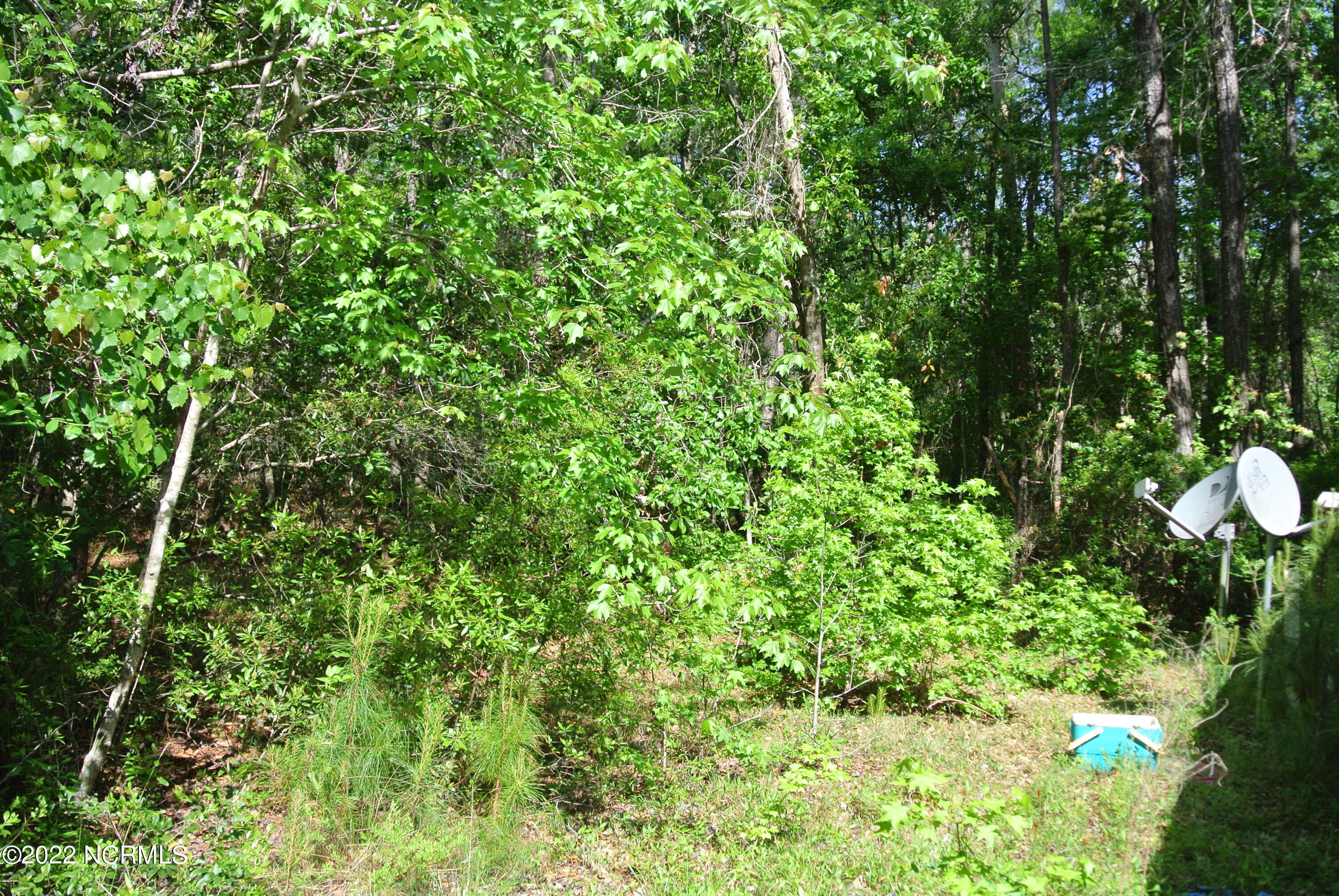 253 Anchor Road Beaufort, NC 28516 - Photo 9 of 12 DSC_5746