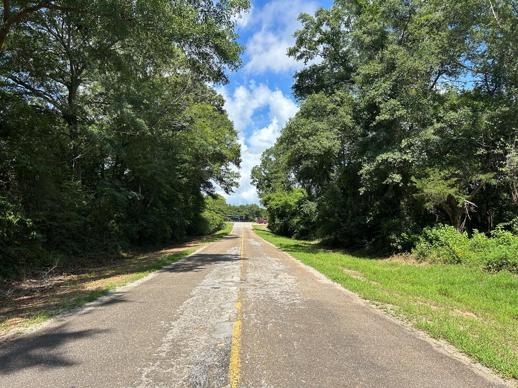 Lot 5-3 -ac Cty Road Newville, AL 36353 - Photo 10 of 13