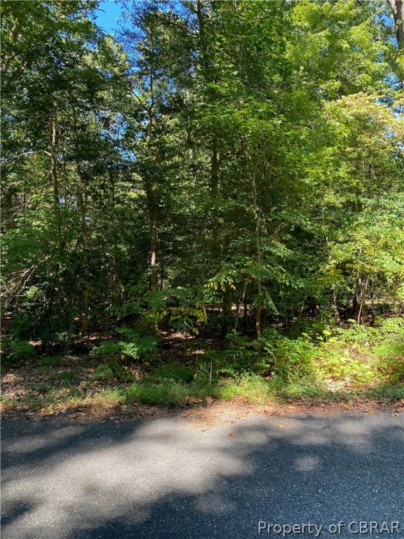 Lot 207 Lancelot Drive Reedville, VA 22539 - Photo 2 of 17