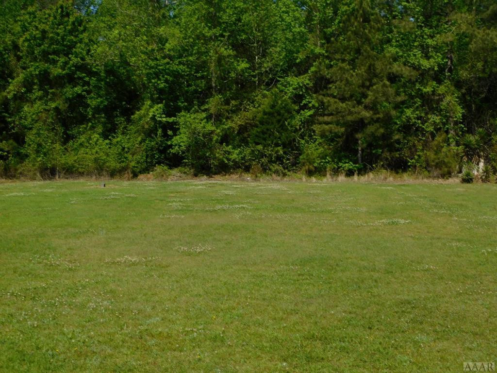 114 W Road Windsor, NC 27983 - Photo 14 of 14 BACKYARD