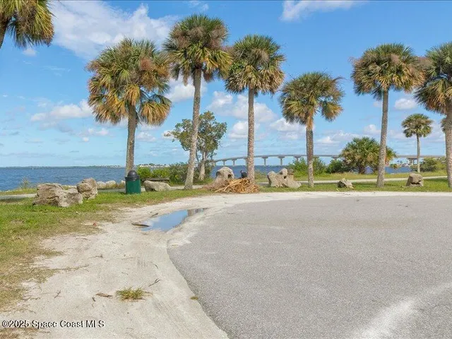 a view of a garden with palm trees