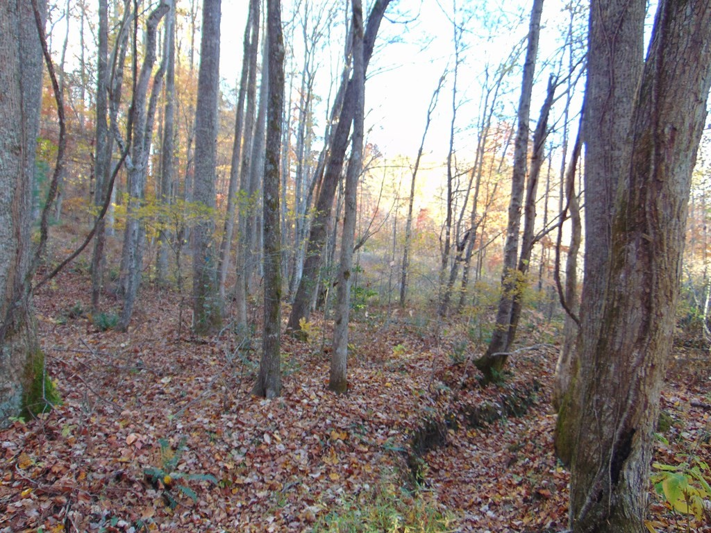 0 Raccoon Ridge Road Spring City, TN 37381 - Photo 70 of 70