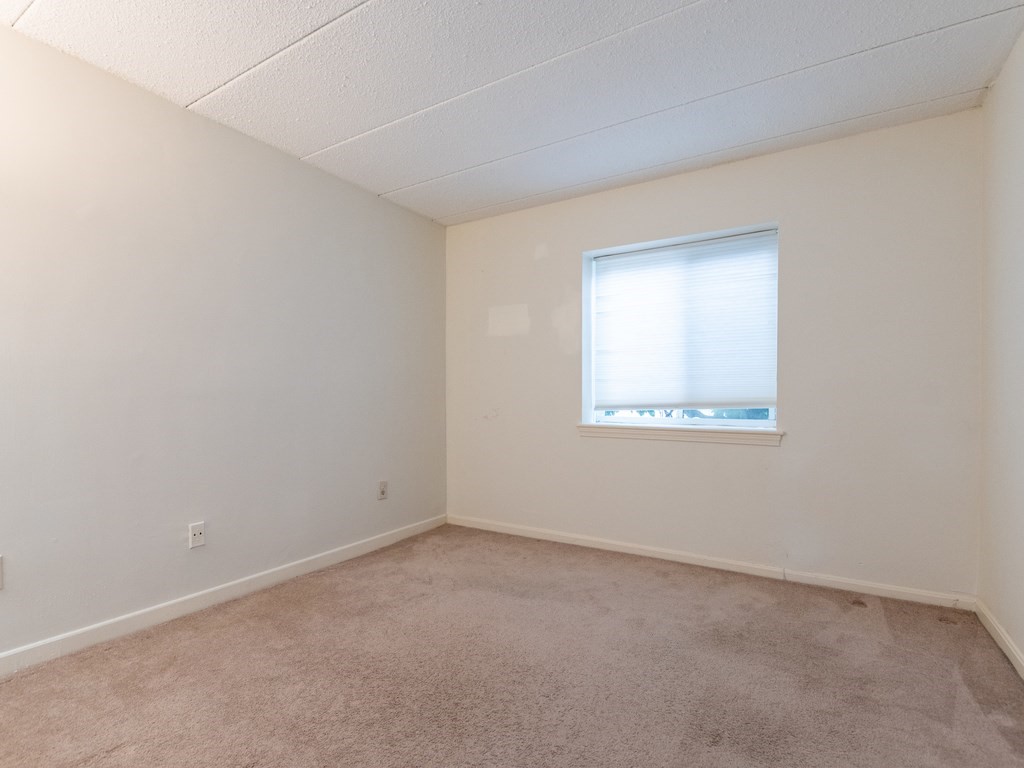43 Angleside Road, Unit 1 Waltham, MA 02453 - Photo 17 of 27 Gallery Image 17