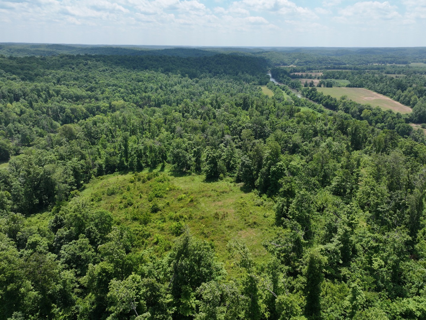110 Wade Reed Road White Bluff, TN 37187 - Photo 59 of 80