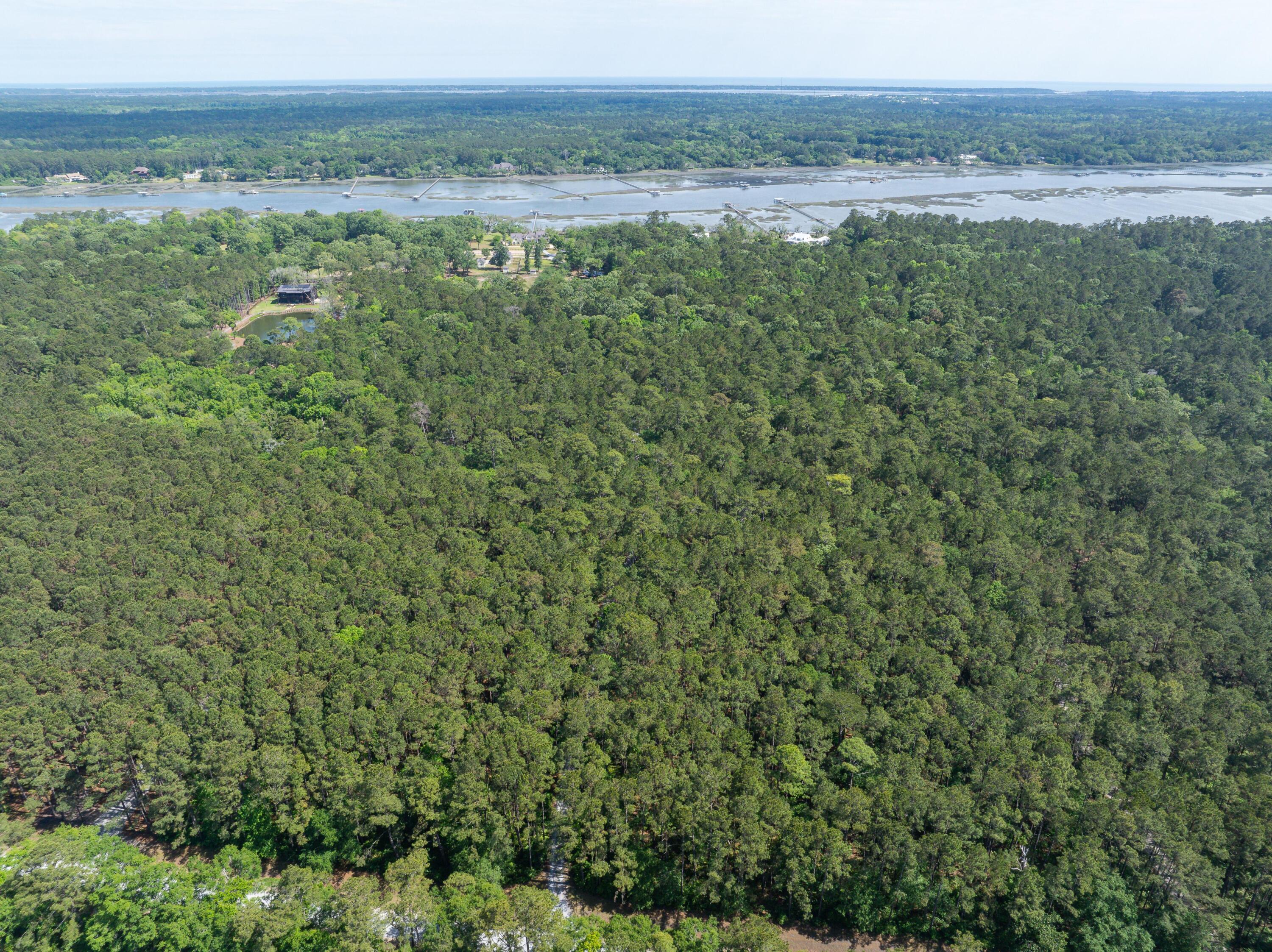 4855 Retriever Road Wadmalaw Island, SC 29487 - Photo 10 of 68 4855RetrieverRdAerial_17