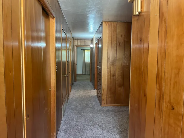 a view of a backyard with large trees and a large tree