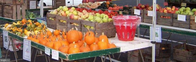 1625 Apricot Court Reston, VA 20190 - Photo 27 of 30 Farmers Market