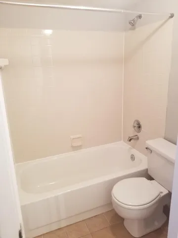 a bathroom with a toilet and a bathtub