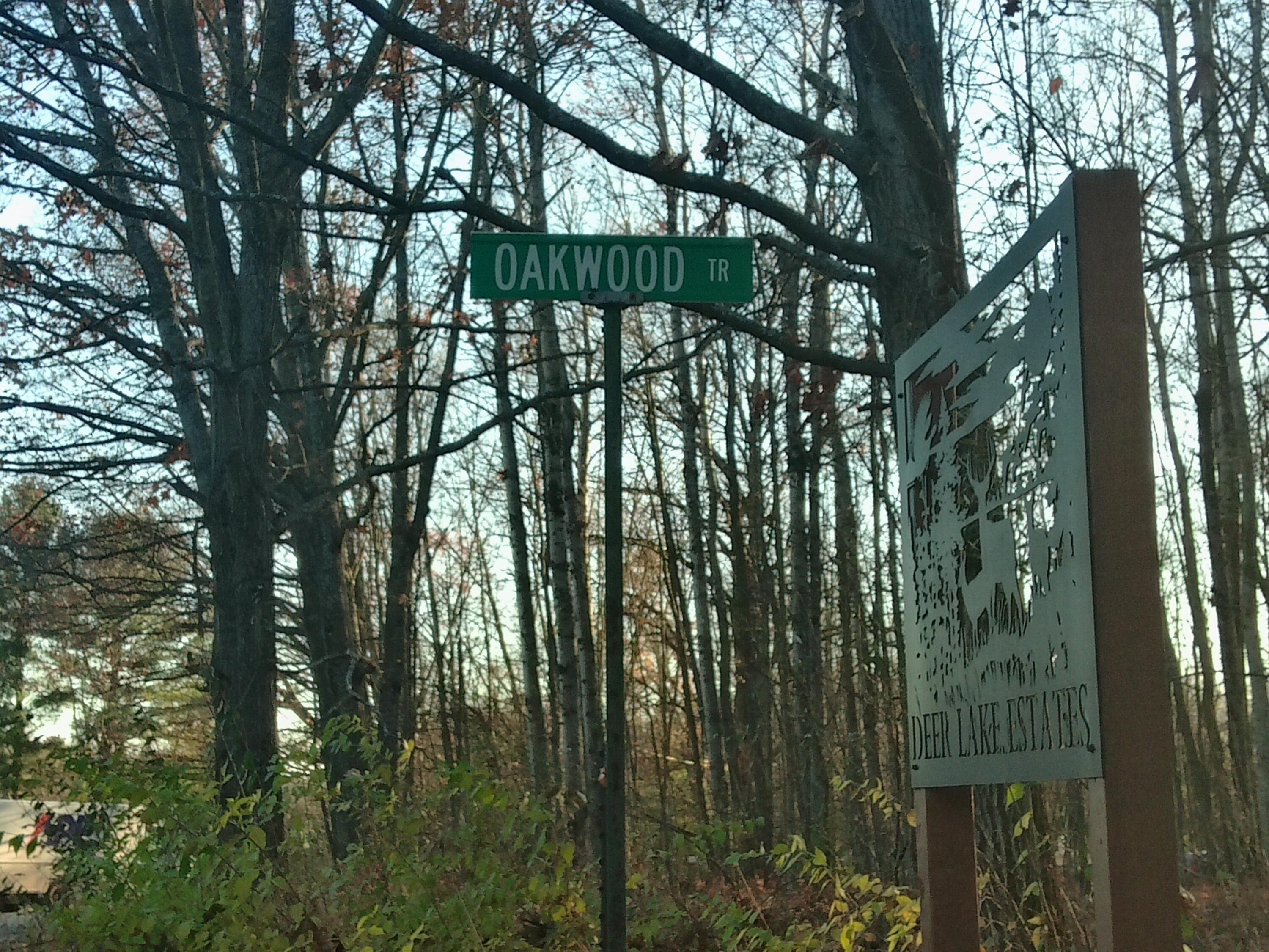 9579 East Timberline Trail Reed City, MI 49677 - Photo 3 of 19 100_0027