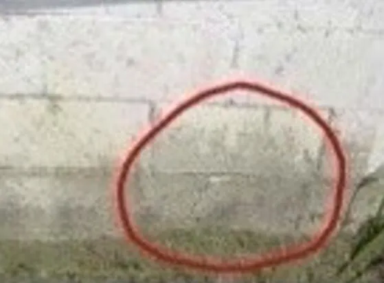 $144,900 | 401 Canaan Road, Pittsfield, ME 04967