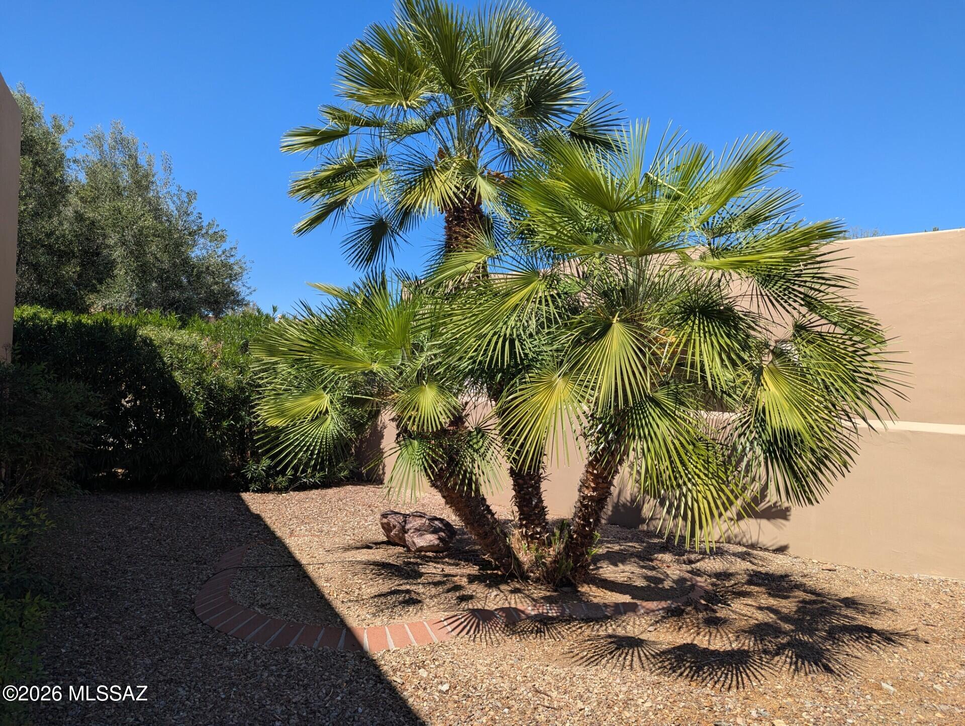 840 West Via Rio Fuerte Green Valley, AZ 85614 - Photo 10 of 14