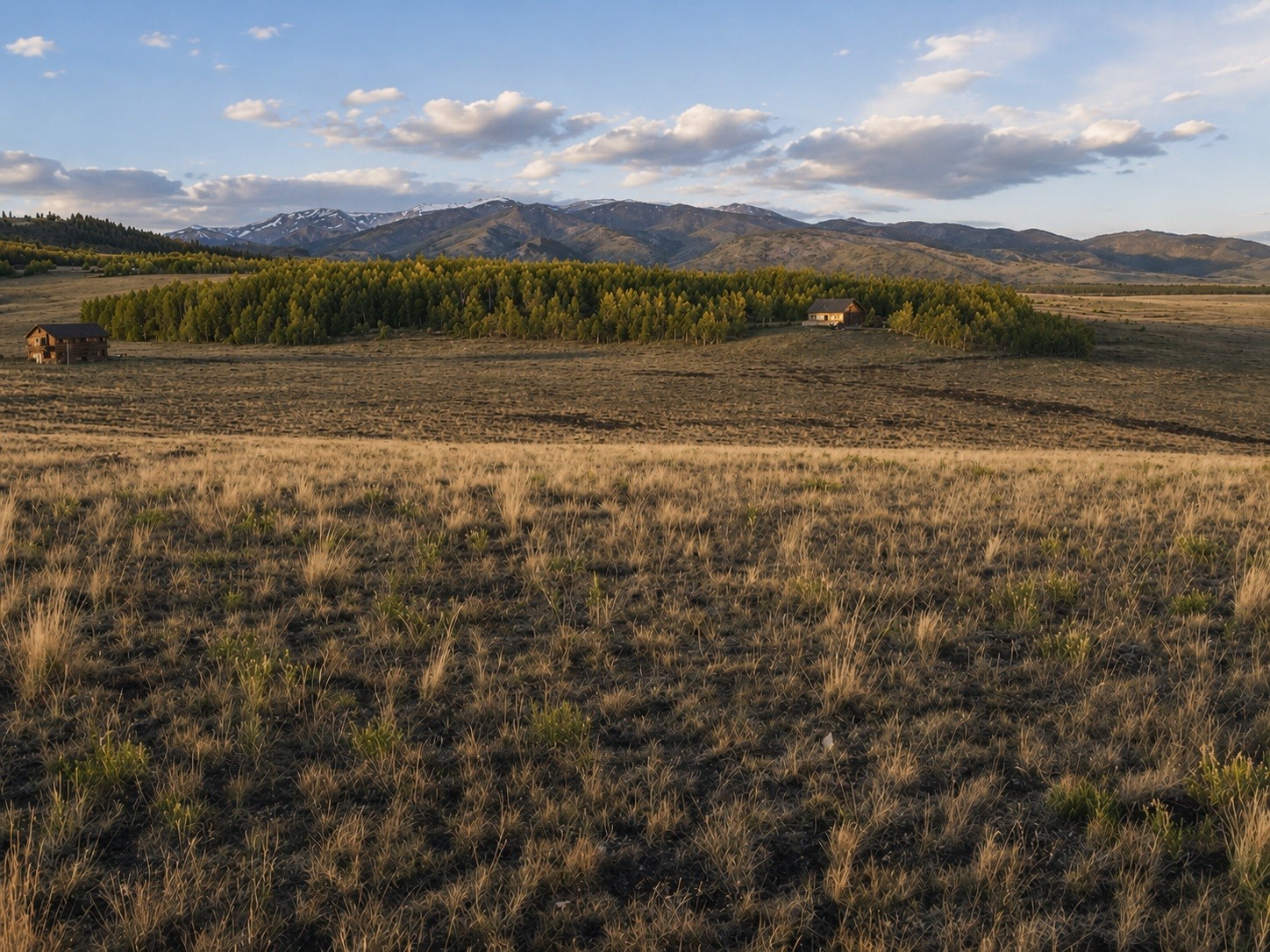 1327 Michigan Hill Road Jefferson, CO 80456 - Photo 8 of 9
