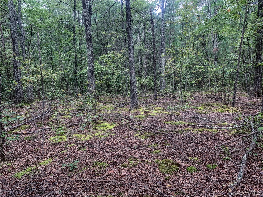 0 Moseley Road Moseley, VA 23120 - Photo 11 of 17 Gallery Image 11