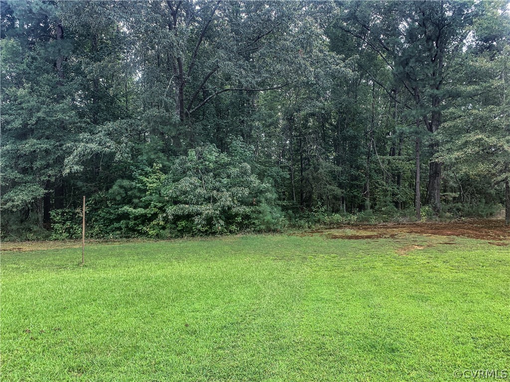 0 Moseley Road Moseley, VA 23120 - Photo 7 of 17 Gallery Image 7