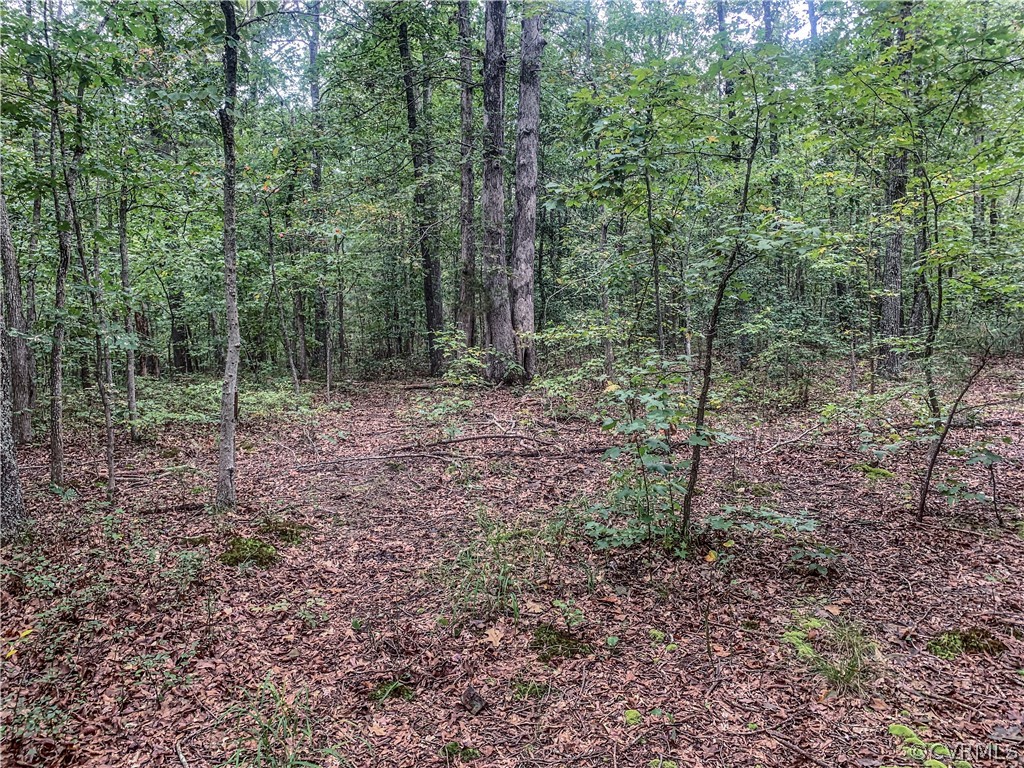 0 Moseley Road Moseley, VA 23120 - Photo 10 of 17 Gallery Image 10