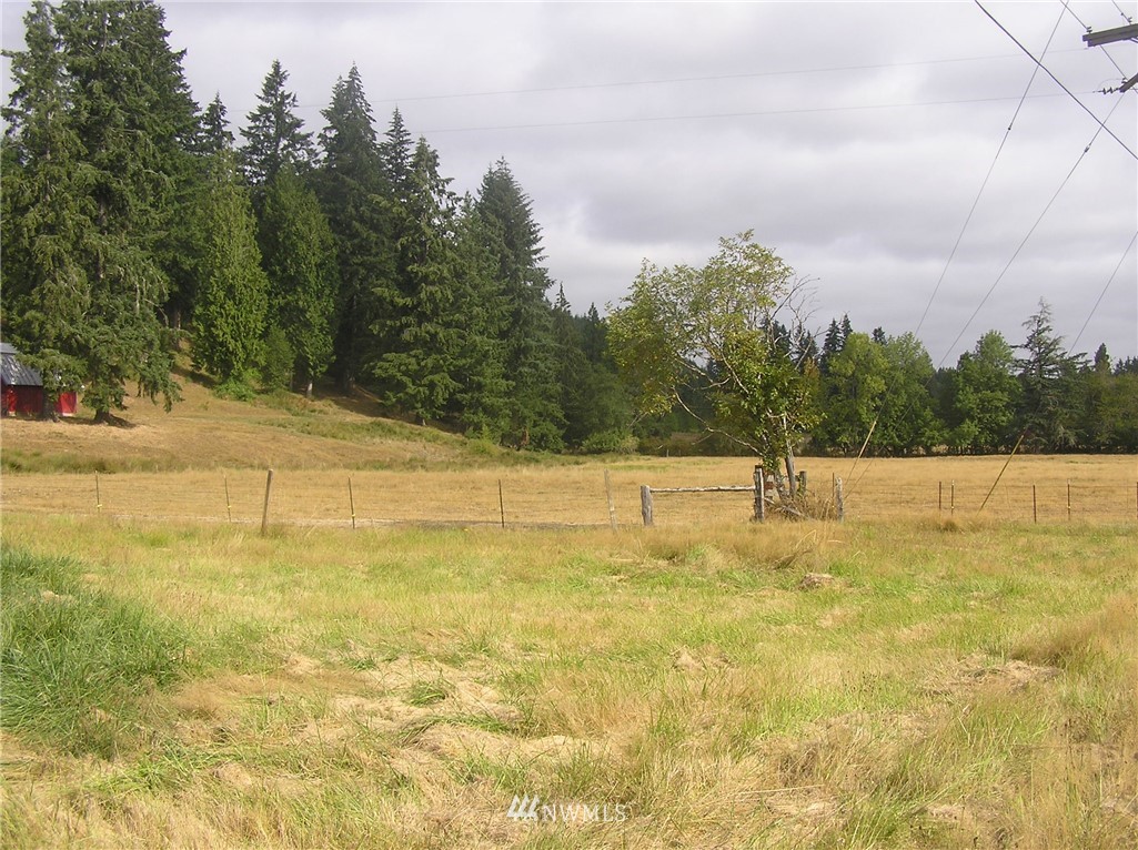 880 Winlock-Vader Road Winlock, WA 98596 - Photo 6 of 6