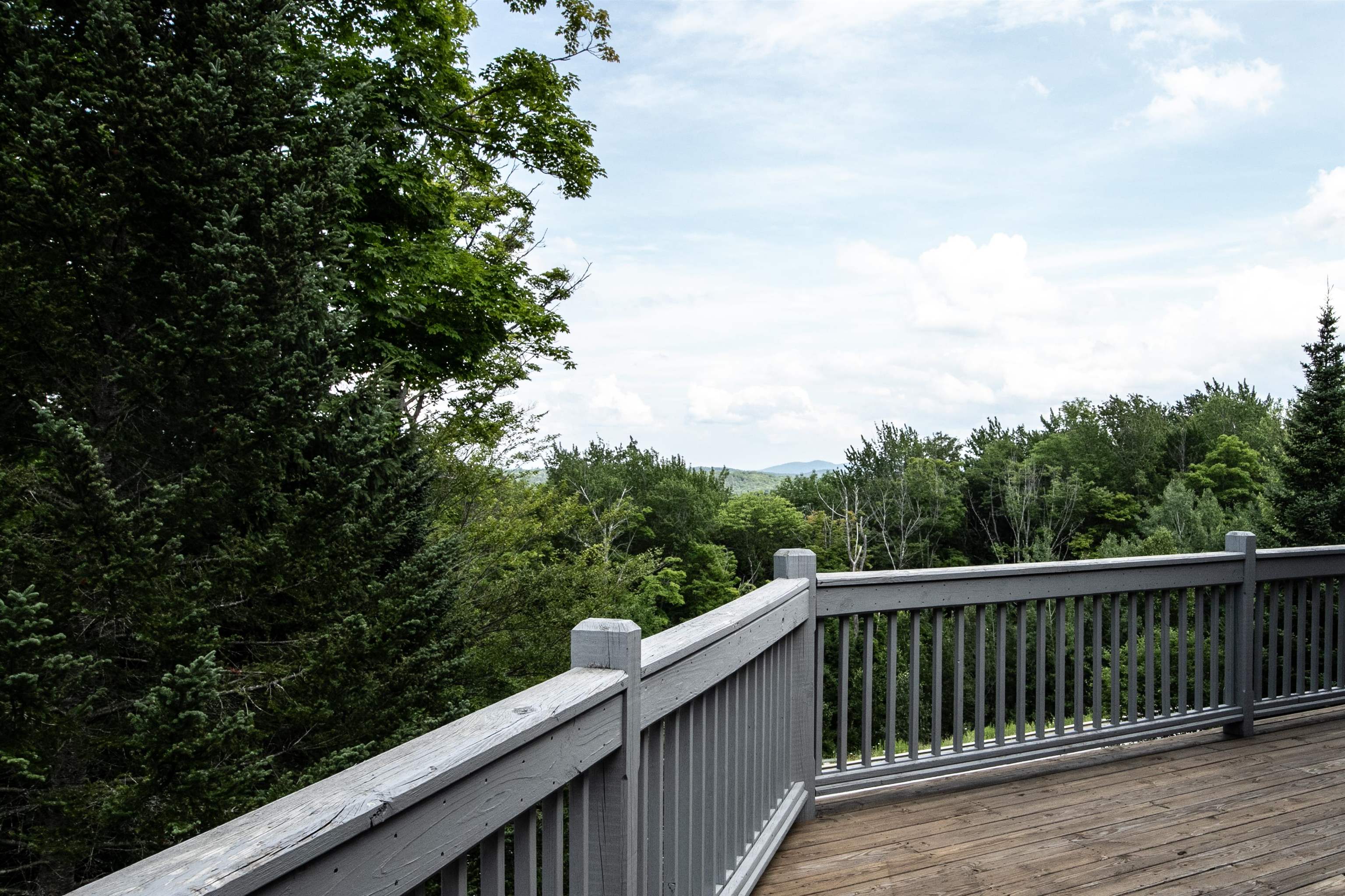 48 Alpine Way, Unit D1 Ludlow, VT 05149 - Photo 48 of 59