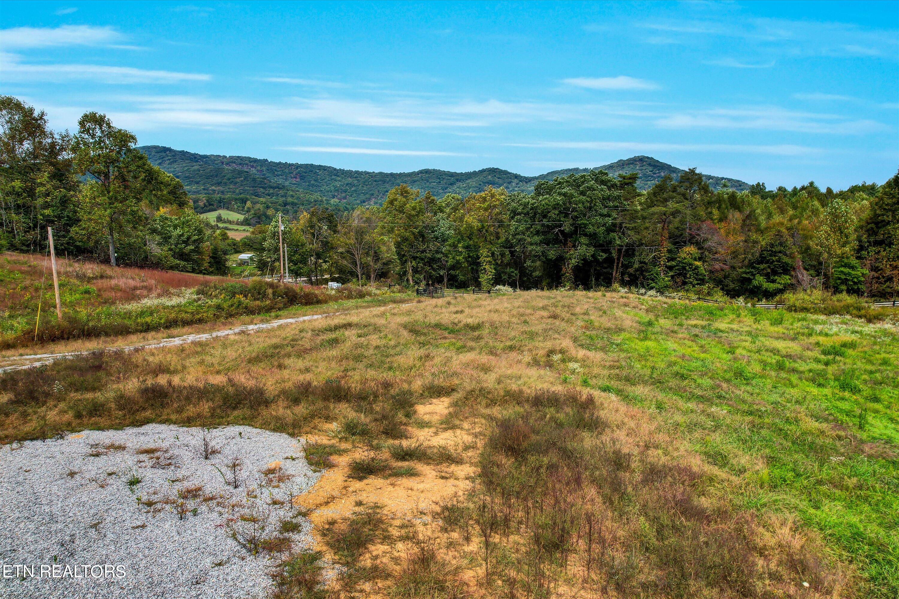 148 Herbert Shannon Road Sunbright, TN 37872 - Photo 17 of 34 17-148 Herbert Shannon Rd-17